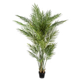 Élethű Areca Forest mű erdei aranypálma 170 cm fekete kaspóban.
